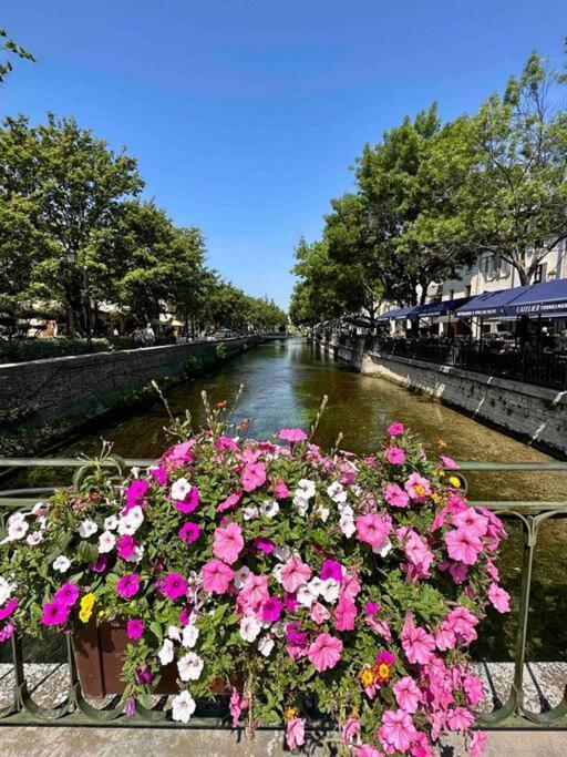 Lou Paseo : Appartement Brocante Centre Historique LʼIsle-sur-la-Sorgue المظهر الخارجي الصورة