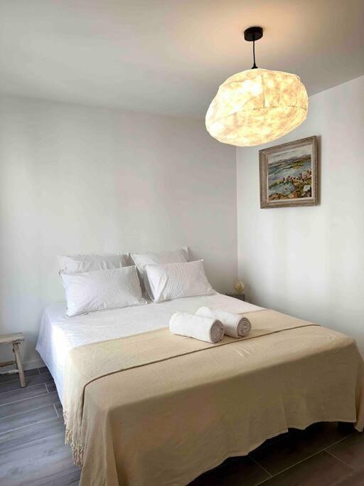 Lou Paseo : Appartement Brocante Centre Historique LʼIsle-sur-la-Sorgue المظهر الخارجي الصورة