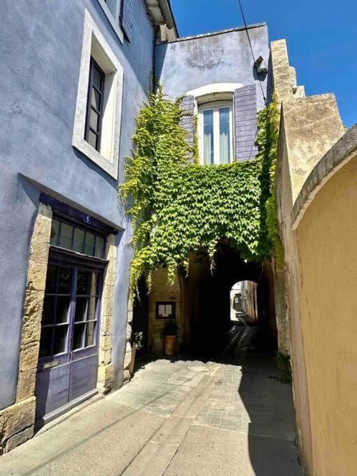 Lou Paseo : Appartement Brocante Centre Historique LʼIsle-sur-la-Sorgue المظهر الخارجي الصورة